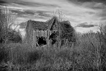 Creepyshack