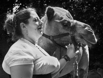In a Camel's Eye