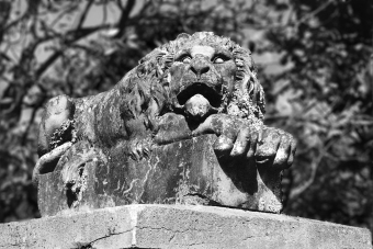 Lion of Auvergne