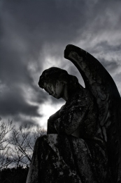 Pensive Angel