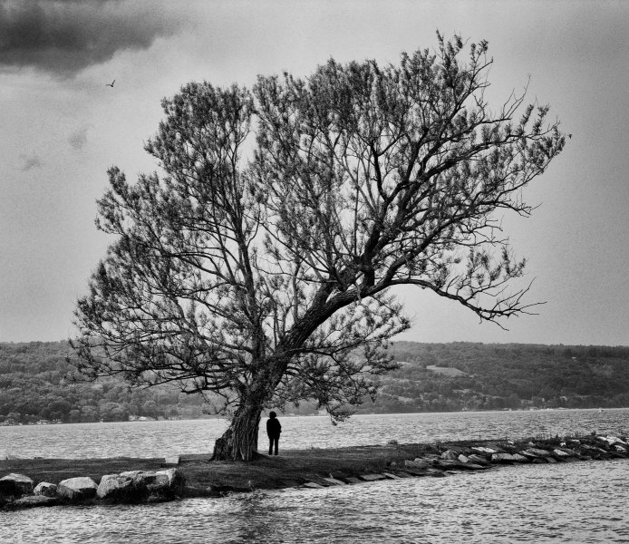 on-the-lake