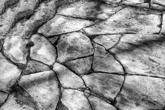 Left Behind