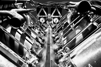 Welcome to the Machine