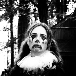 The Harlequin
