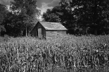 The Scarecrow's House
