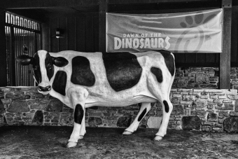 Cowsaurus