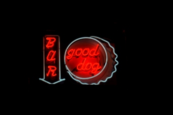 Dog Bar