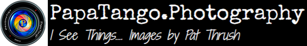 PapaTango.Photography